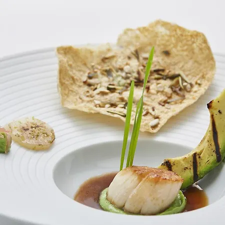 Der Zauberlehrling 4* Stuttgart