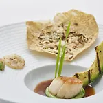 Der Zauberlehrling 4* Štutgart